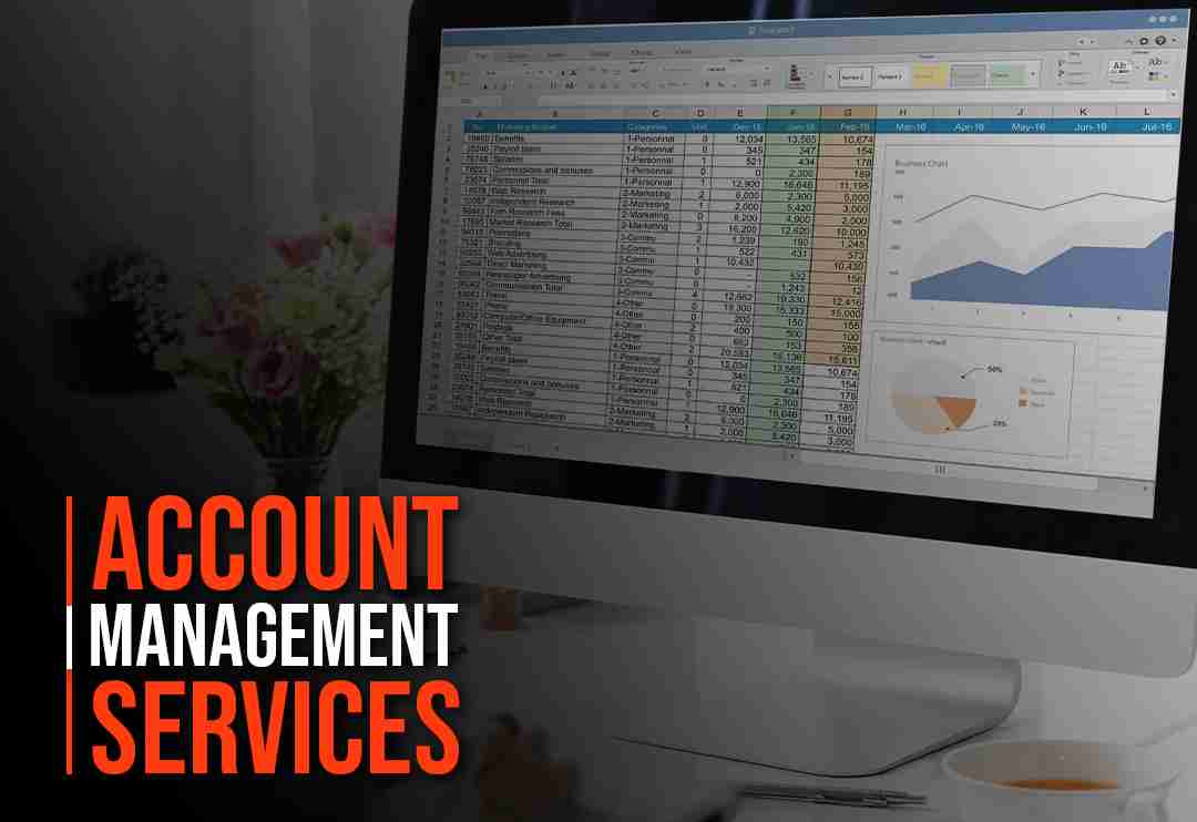 Account Management Services: The Key to Financial Organization and Success