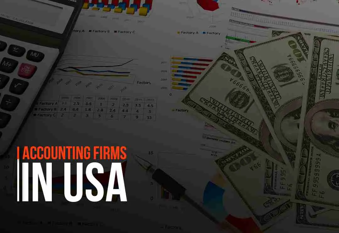 Small Accounting Firms in the USA – Navigating Finances with Precision