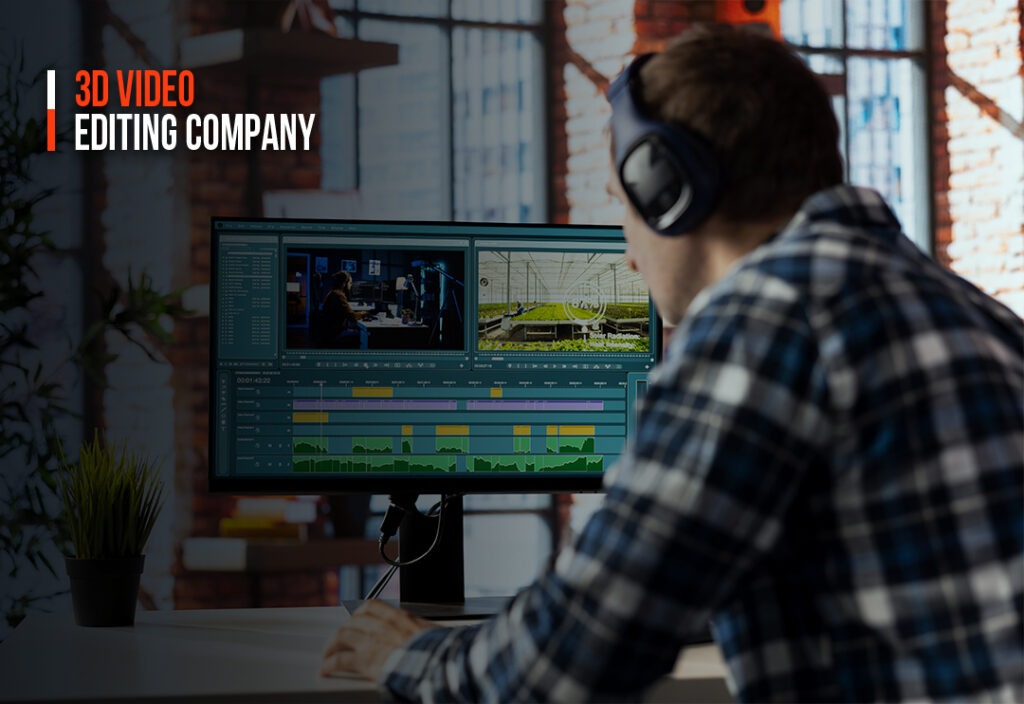 3d video editing company
